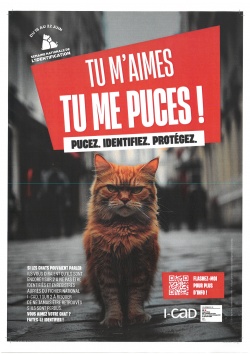 Semaine nationale de l'identification : du 16 au 22 juin 2025